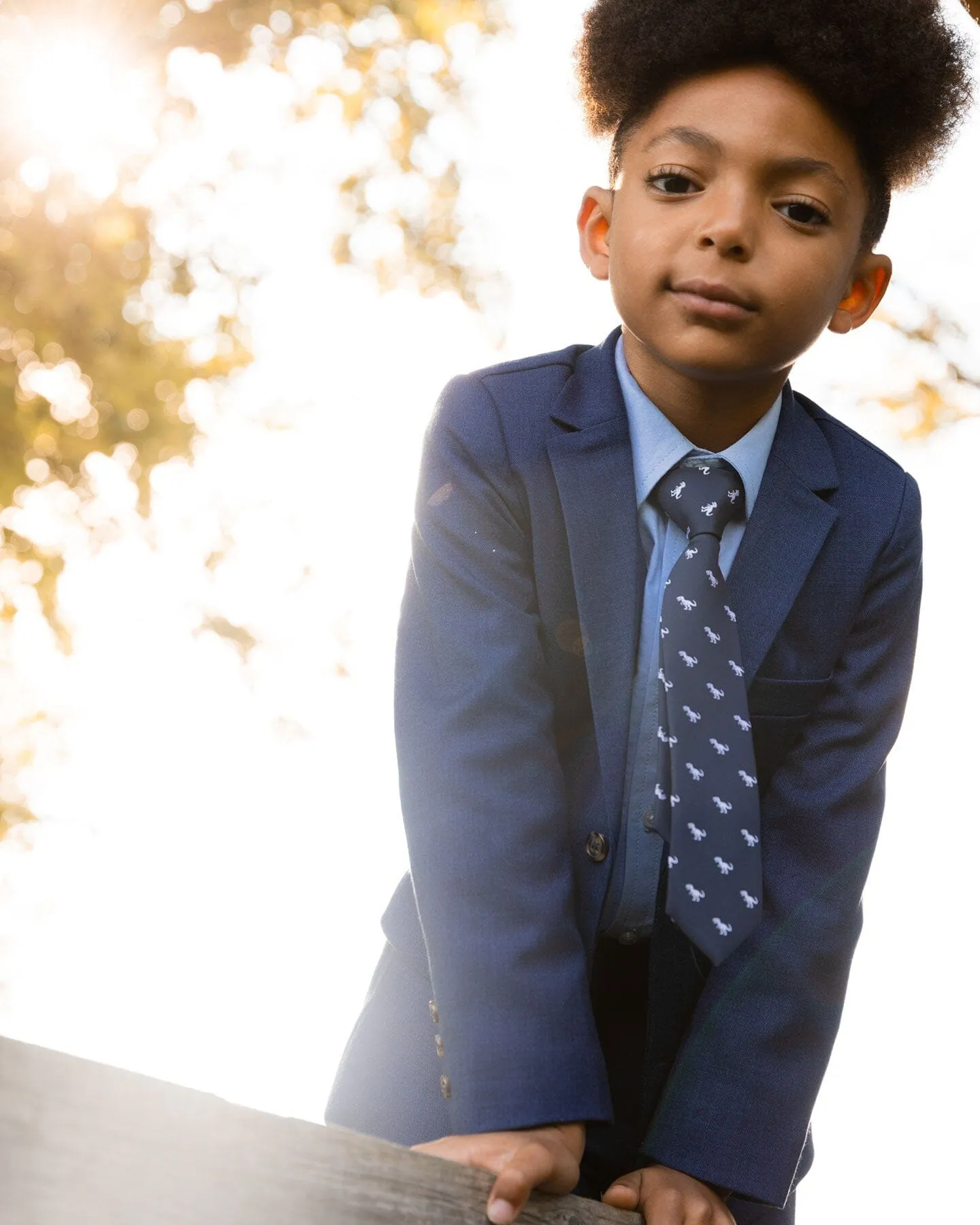 Neck Tie Navy Blue And Dino